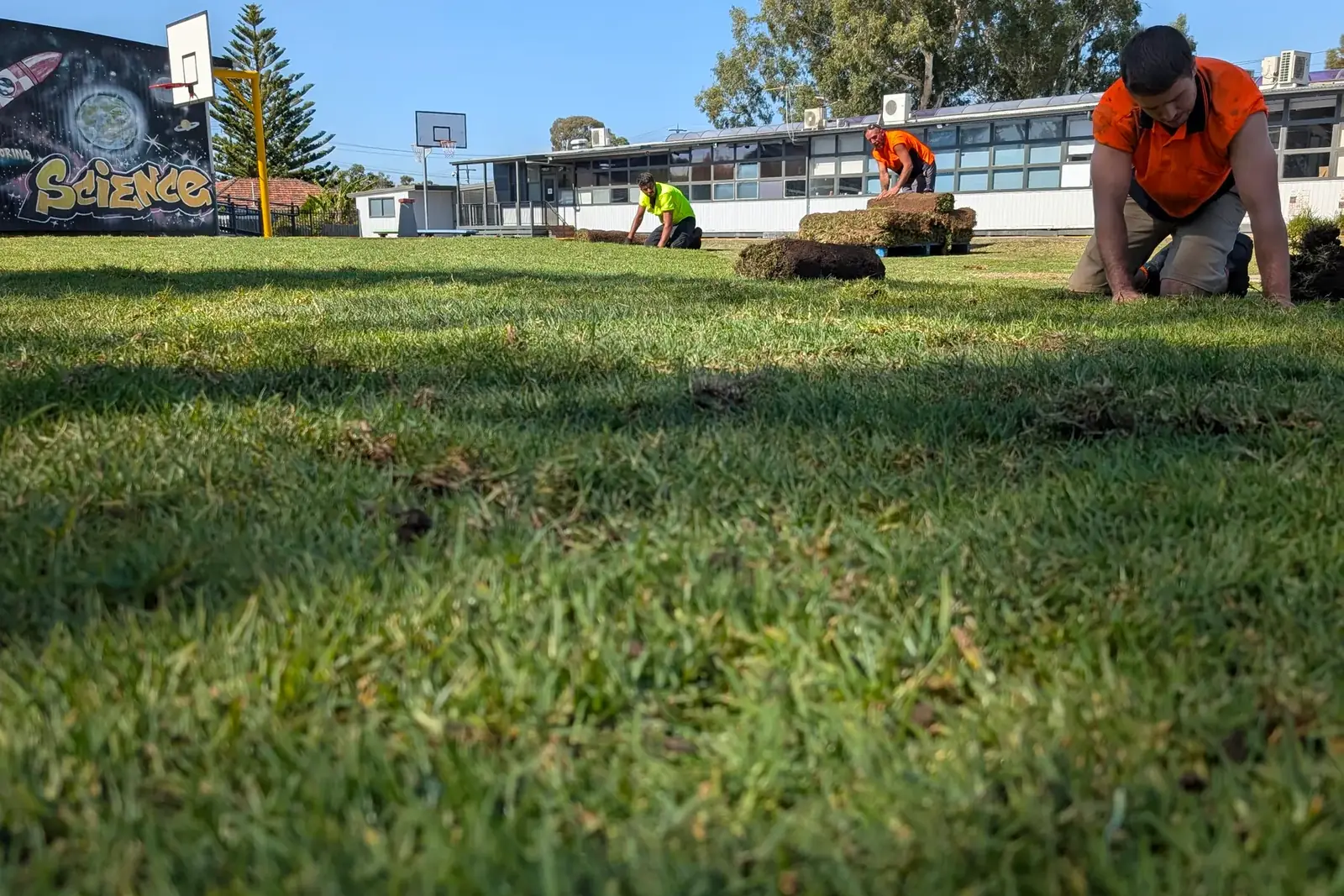 Bastiano Landscaping crew in hi-vis laying rolls of instant turf across school grounds, with the school building behind