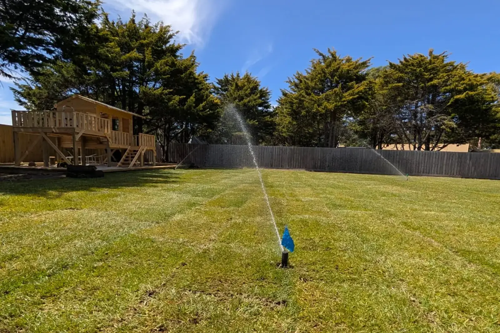 Pop-up sprinkler with a marker flag watering a freshly laid natural lawn in a fenced backyard with a timber playhouse