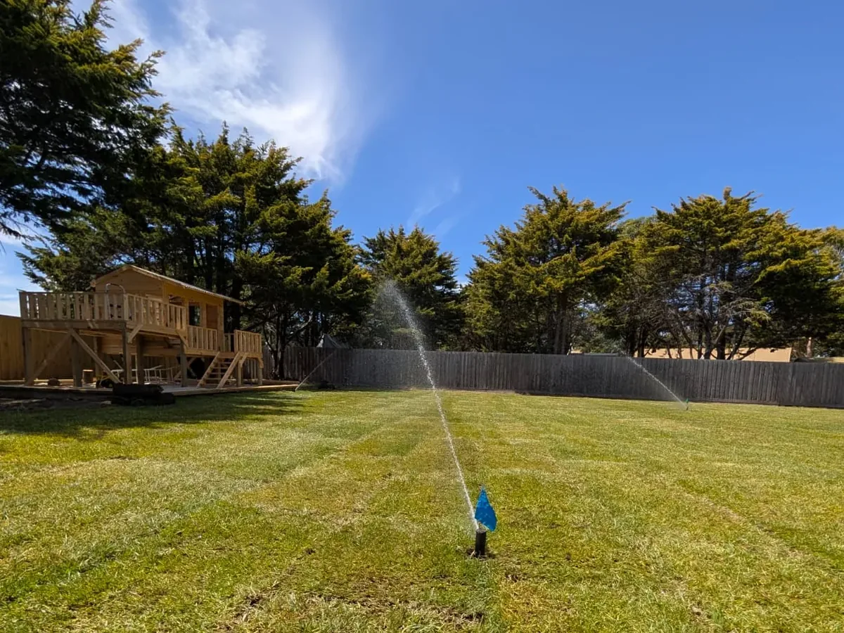 Sprinkler watering in a large new natural lawn in a family backyard