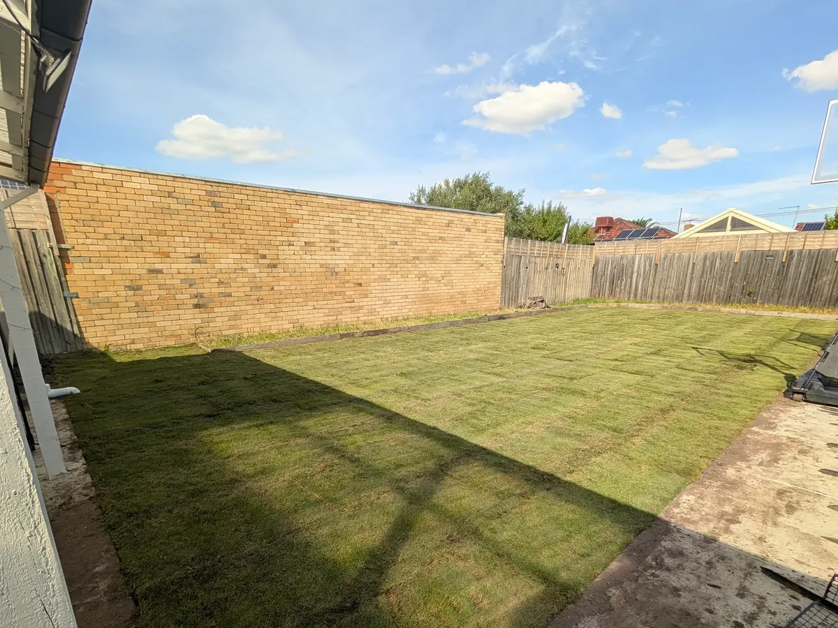 Newly laid natural turf in a backyard beside a brick boundary wall