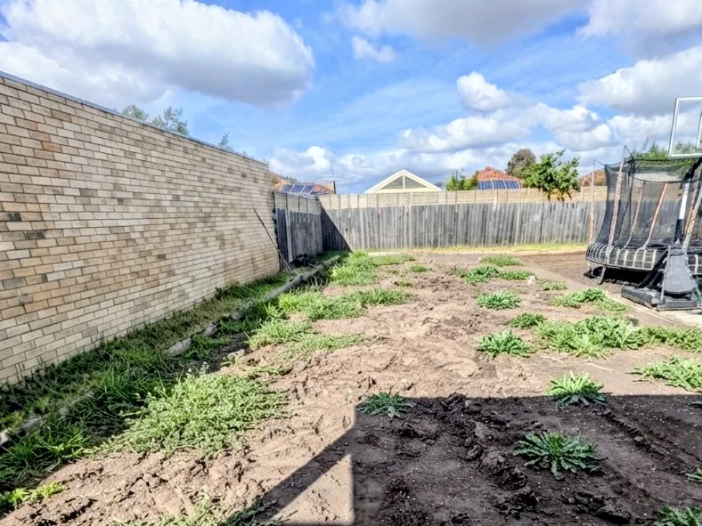 Before: bare, uneven soil and weeds across the backyard