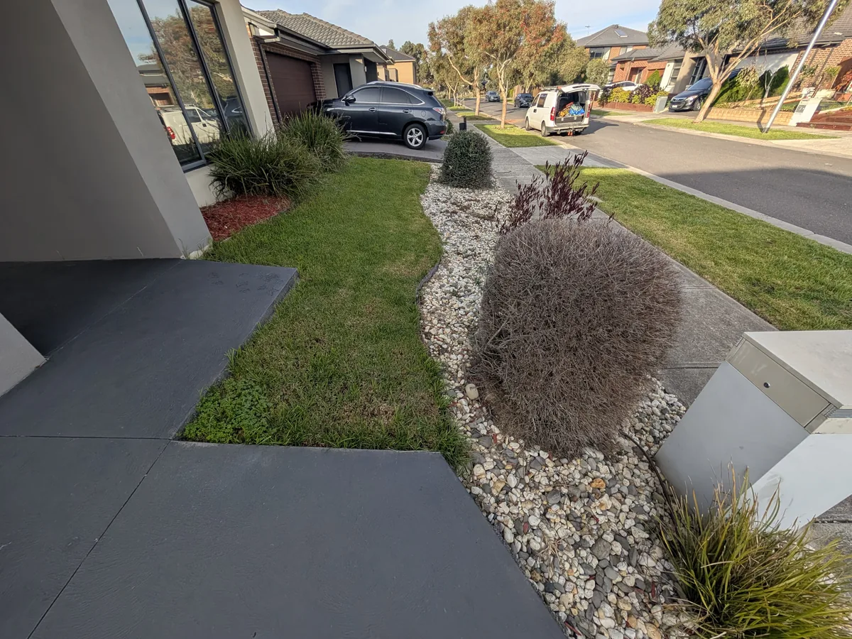 Before: side view of the frontage with tired lawn, an ageing river-pebble strip and declining shrubs