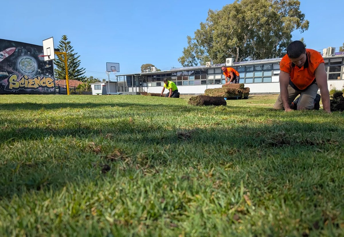 Bastiano Landscaping crew laying instant turf rolls across a school playground